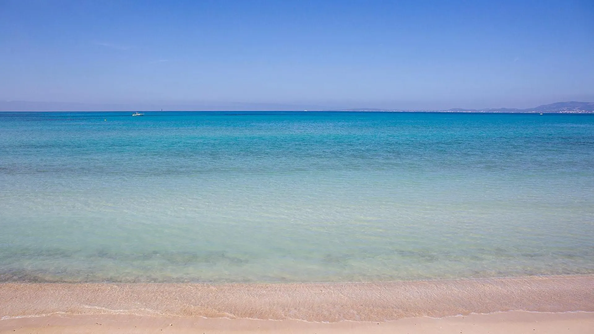 Hotel Bq Carmen Playa- Adults Only Playa de Palma